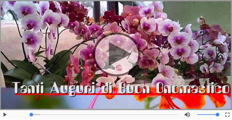 Buon onomastico, Luca!