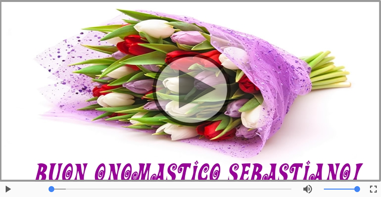 Buon Onomastico Sebastiano!