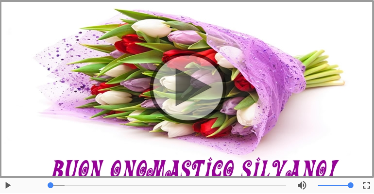 Tantissimi Auguri di Buon Onomastico Silvano!
