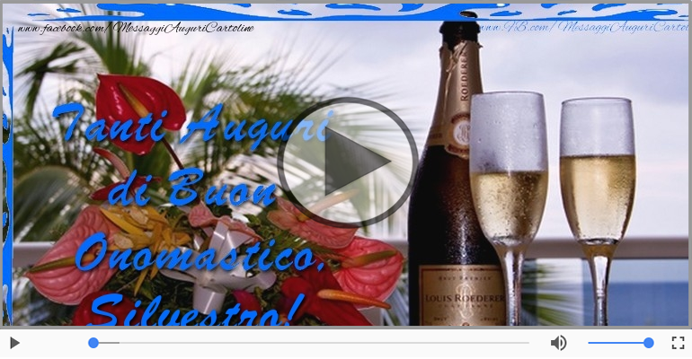 Tanti auguri di Buon Onomastico Silvestro!