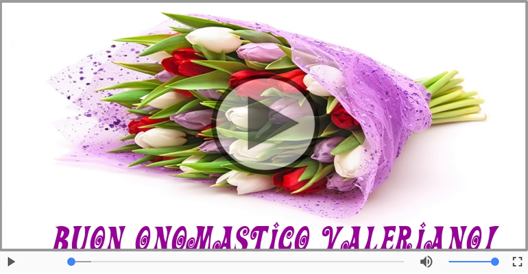 Tanti auguri di Buon Onomastico Valeriano!