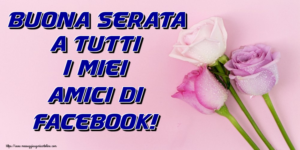 Buona Serata a tutti i miei amici di facebook!
