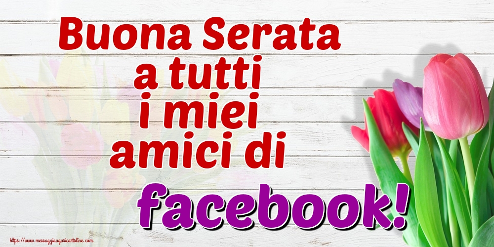 Buona Serata a tutti i miei amici di facebook!