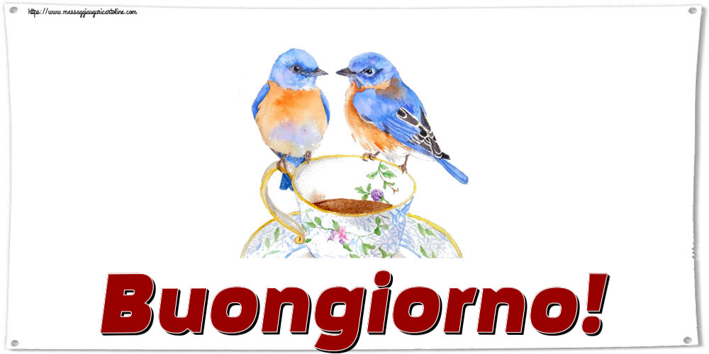 Cartoline di buongiorno - Buongiorno! ~ tazza da caffè con uccelli - messaggiauguricartoline.com