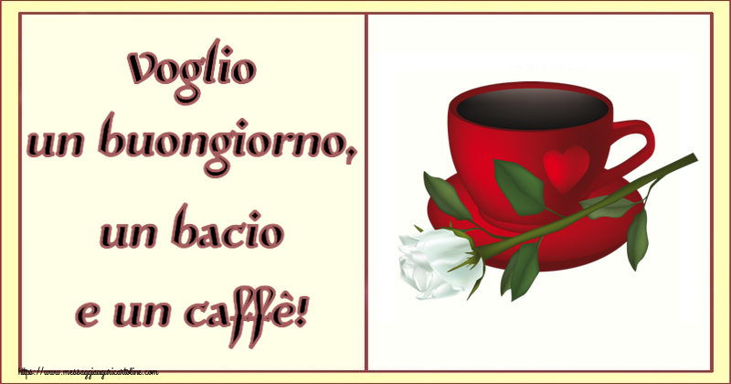 Voglio un buongiorno, un bacio e un caffè! ~ caffè e una rosa bianca