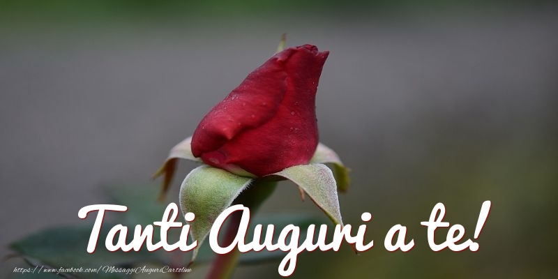 Cartoline con fiori - Tanti Auguri a te! - messaggiauguricartoline.com