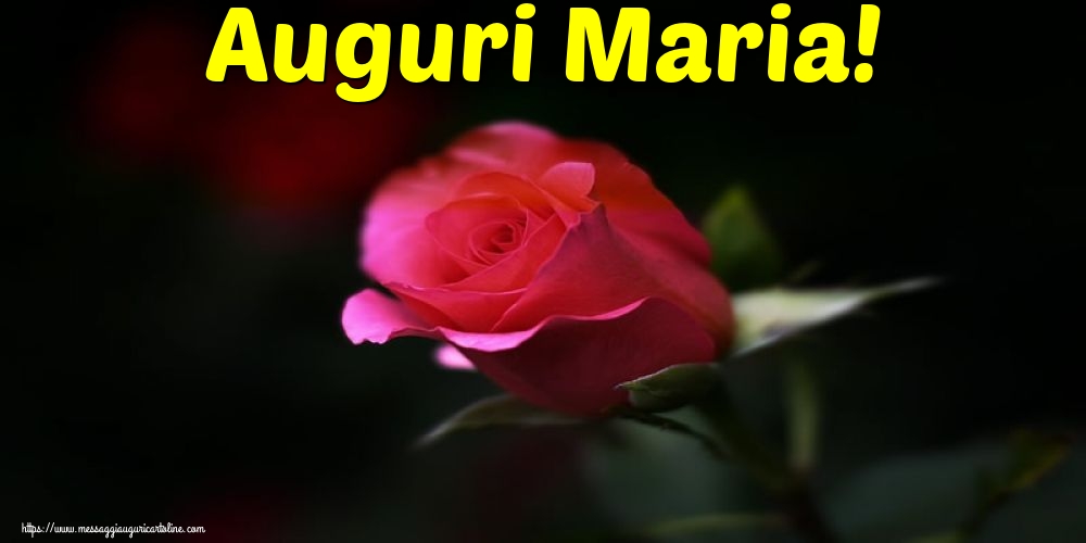 Cartoline per la Natività della Beata Vergine Maria - Auguri Maria! - messaggiauguricartoline.com