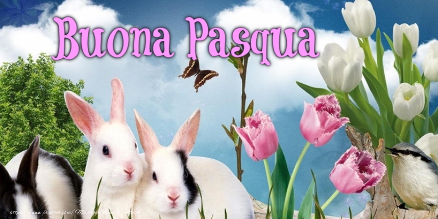 Cartoline di Pasqua - Auguri di Buona Pasqua! - messaggiauguricartoline.com