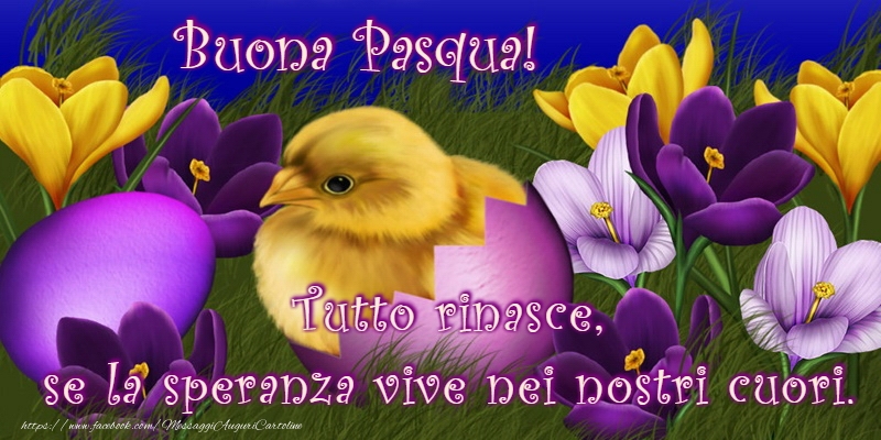 Cartoline di Pasqua - Auguri di Buona Pasqua! - messaggiauguricartoline.com