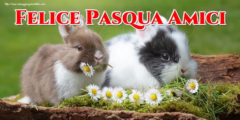 Cartoline di Pasqua - Felice Pasqua Amici - messaggiauguricartoline.com