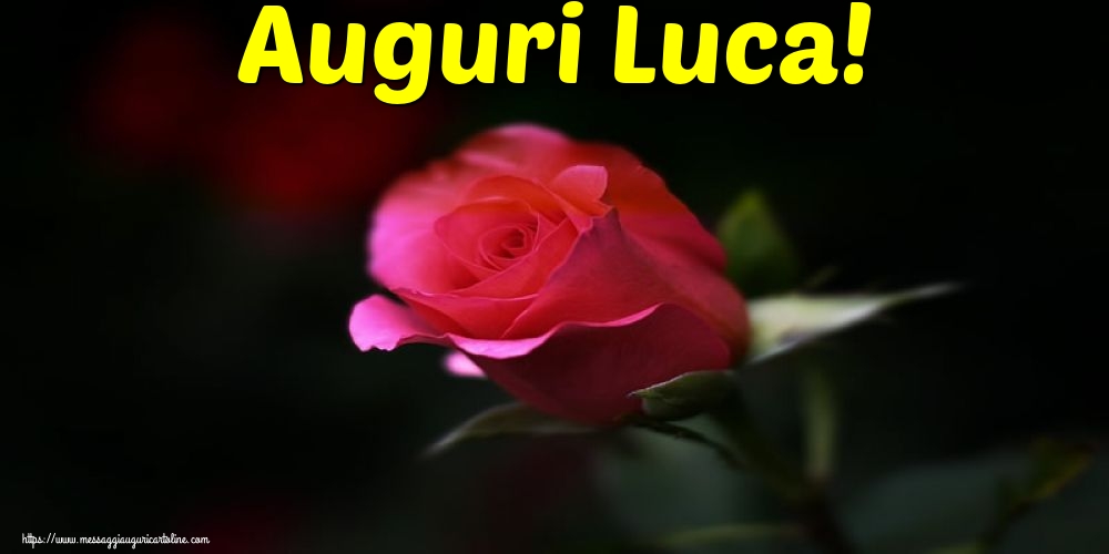 San Luca Auguri Luca!