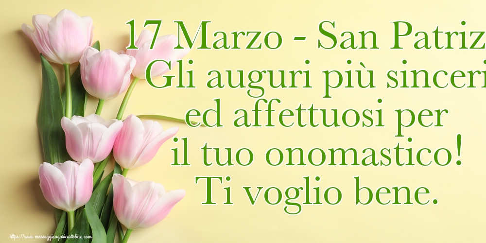17 Marzo - San Patrizio Gli auguri più sinceri ed affettuosi per il tuo onomastico! Ti voglio bene.