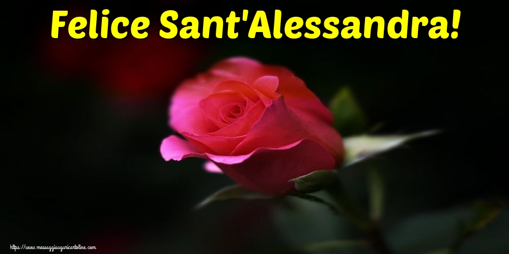 Sant'Alessandra Felice Sant'Alessandra!