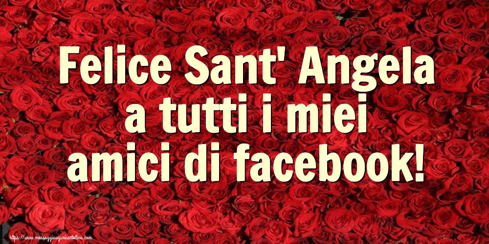 Felice Sant' Angela a tutti i miei amici di facebook!