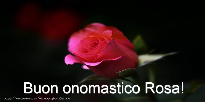 Cartoline di Santa Rosa - Buon onomastico Rosa! - messaggiauguricartoline.com