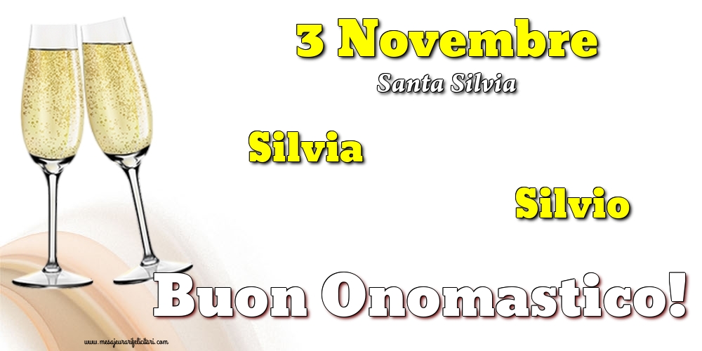 3 Novembre - Santa Silvia