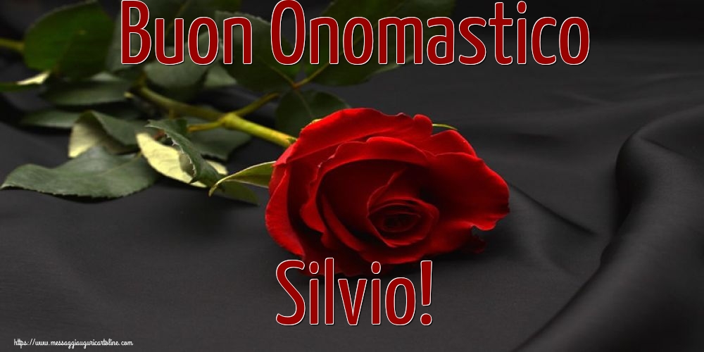 Cartoline di Santa Silvia - Buon Onomastico Silvio! - messaggiauguricartoline.com