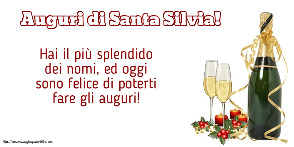 Auguri di Santa Silvia!