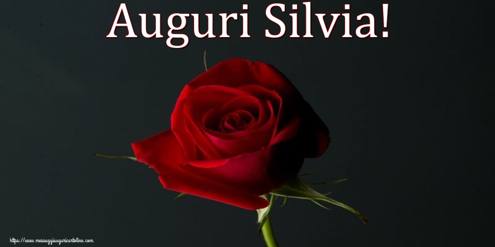 Santa Silvia Auguri Silvia!