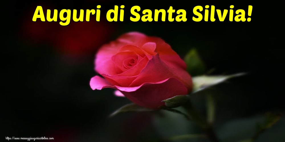 Santa Silvia Auguri di Santa Silvia!