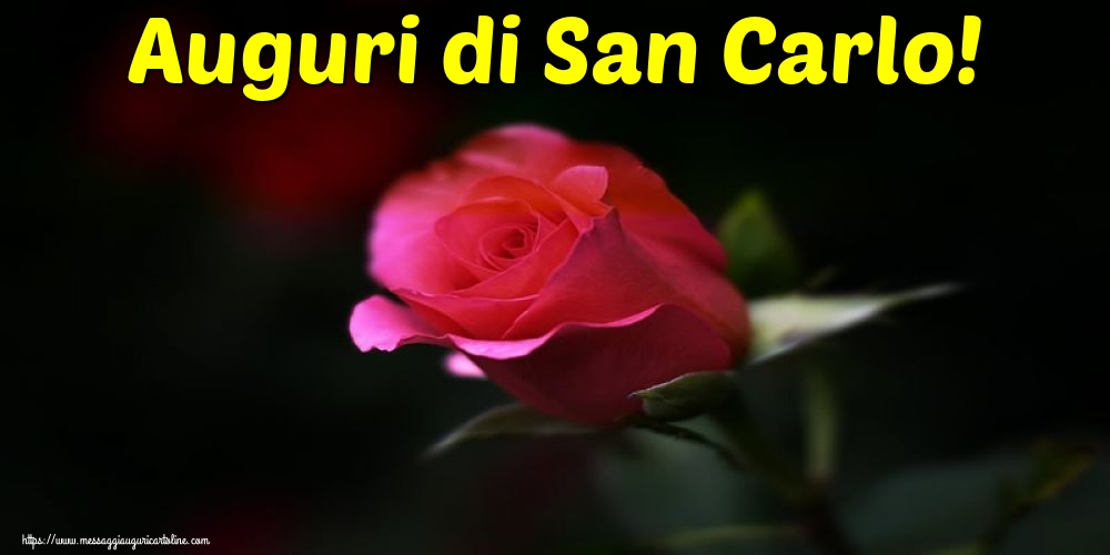 Cartoline di San Carlo - Auguri di San Carlo! - messaggiauguricartoline.com