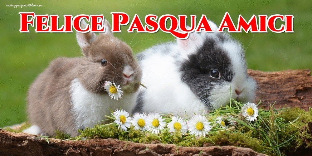 Cartoline Animate di Pasqua - Felice Pasqua Amici
