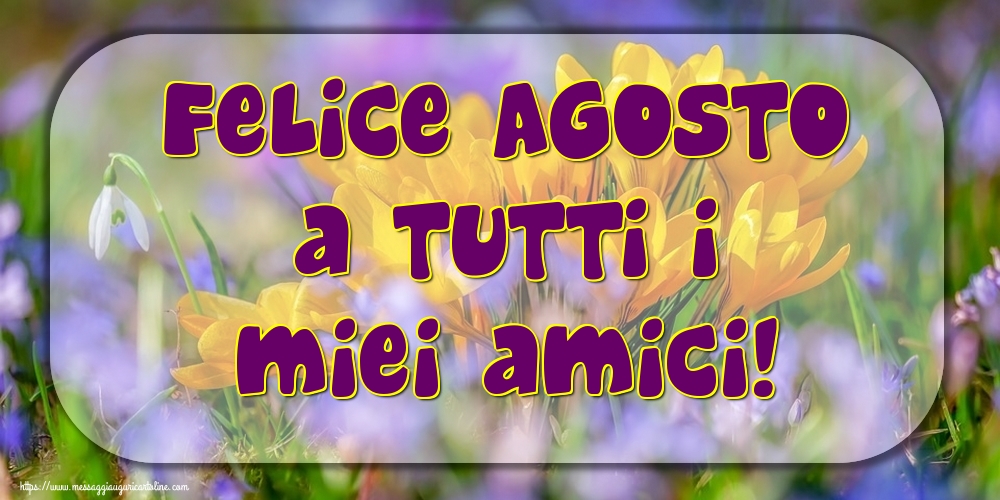 Cartoline di 1 Agosto Agosto 1