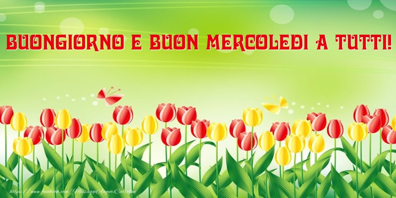 BUONGIORNO FORUM!!!!  Saluti lampo - Pagina 17 Mercoledi-51