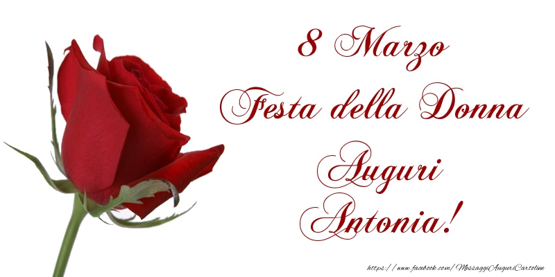 Cartoline di 8 Marzo - 8 Marzo Festa della Donna Auguri Antonia!