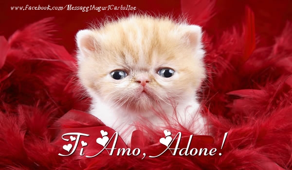Cartoline d'amore - Animali | Ti amo, Adone!
