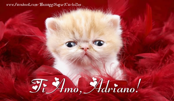 Cartoline d'amore - Animali | Ti amo, Adriano!