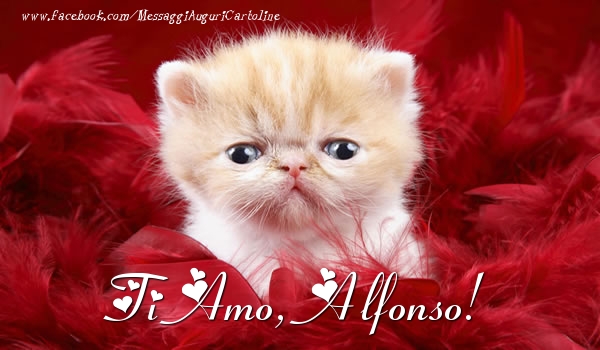  Cartoline d'amore - Animali | Ti amo, Alfonso!