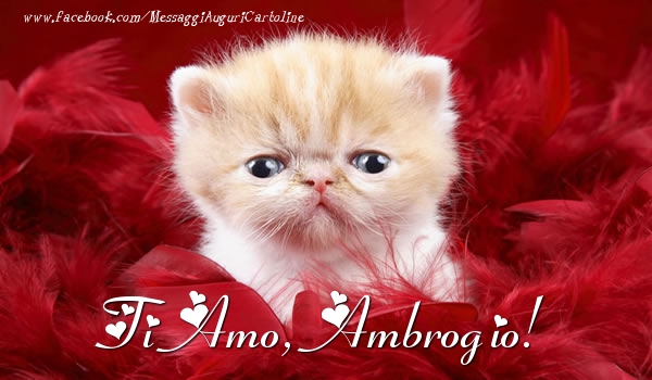 Cartoline d'amore - Animali | Ti amo, Ambrogio!