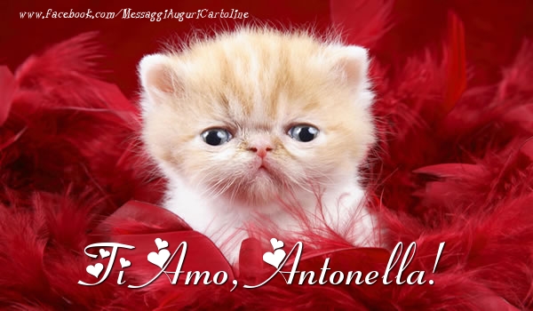 Cartoline d'amore - Animali | Ti amo, Antonella!