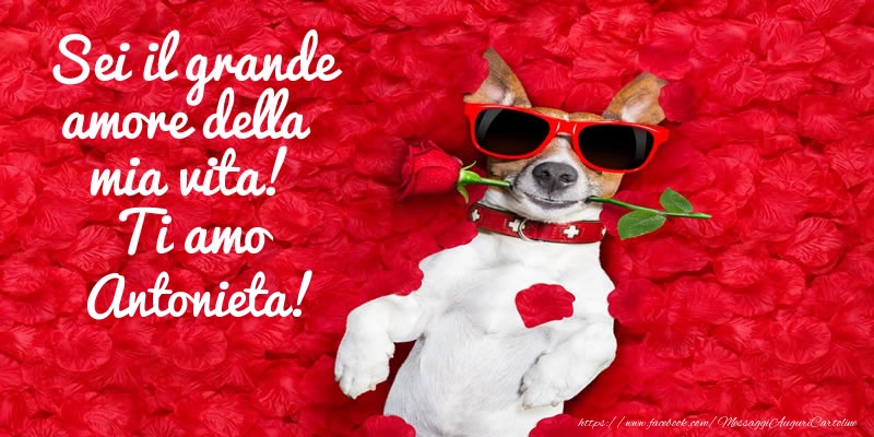 Cartoline d'amore - Animali & Rose | Sei il grande amore della mia vita! Ti amo Antonieta!