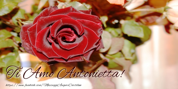 Cartoline d'amore - Rose | Ti amo Antonietta!
