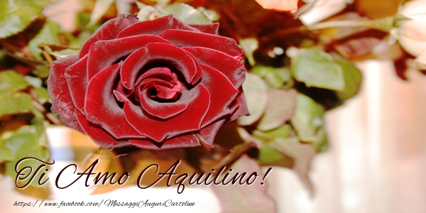 Cartoline d'amore - Rose | Ti amo Aquilino!