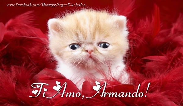 Cartoline d'amore - Animali | Ti amo, Armando!