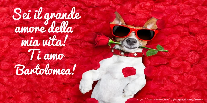 Cartoline d'amore - Animali & Rose | Sei il grande amore della mia vita! Ti amo Bartolomea!