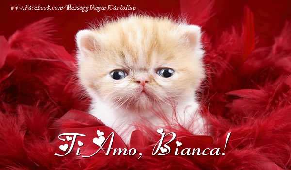 Cartoline d'amore - Ti amo, Bianca!
