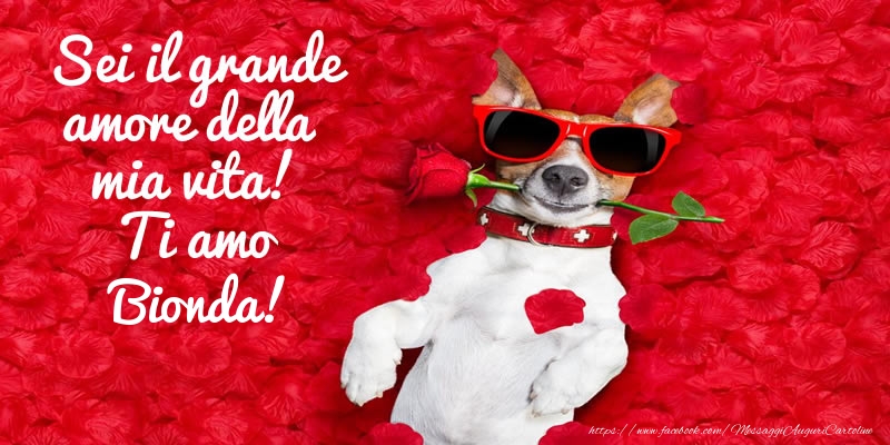 Cartoline d'amore - Animali & Rose | Sei il grande amore della mia vita! Ti amo Bionda!
