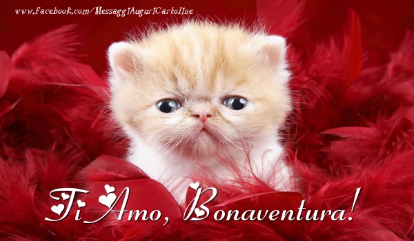 Cartoline d'amore - Ti amo, Bonaventura!