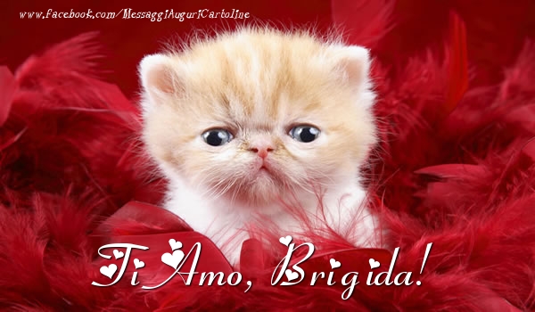 Cartoline d'amore - Animali | Ti amo, Brigida!