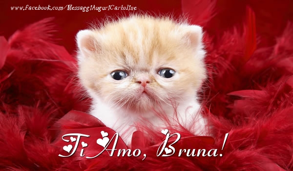 Cartoline d'amore - Animali | Ti amo, Bruna!