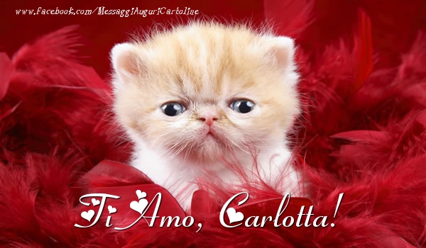Cartoline d'amore - Animali | Ti amo, Carlotta!