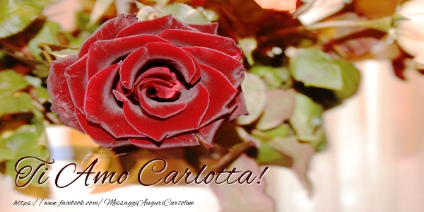  Cartoline d'amore - Rose | Ti amo Carlotta!