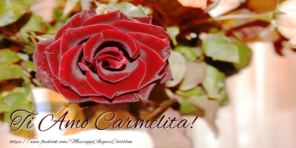Cartoline d'amore - Rose | Ti amo Carmelita!