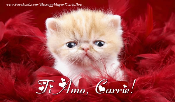 Cartoline d'amore - Ti amo, Carrie!