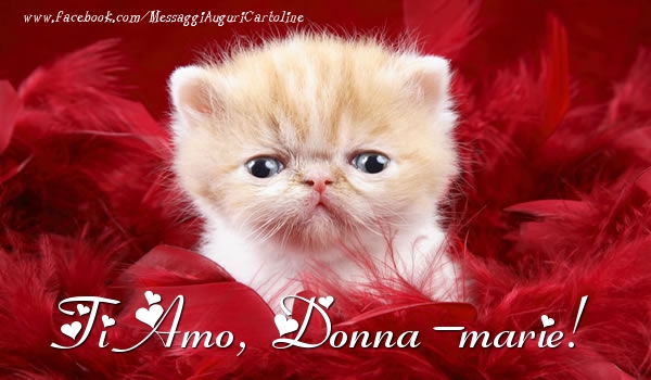 Cartoline d'amore - Ti amo, Donna-Marie!