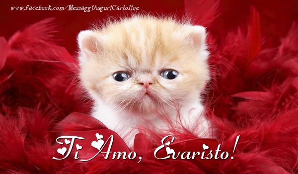 Cartoline d'amore - Ti amo, Evaristo!